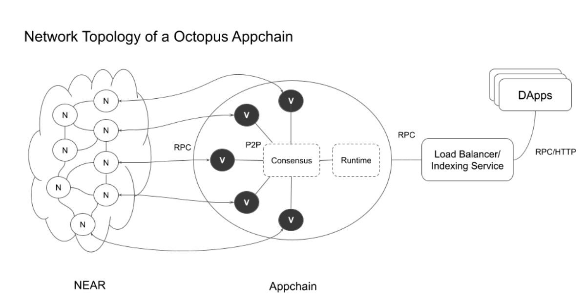2. Tại sao Octopus lại lựa chọn App-chain