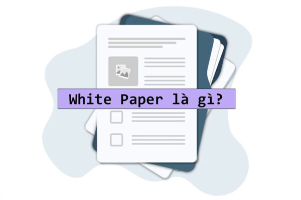 1. Whitepaper và Lite Paper là gì