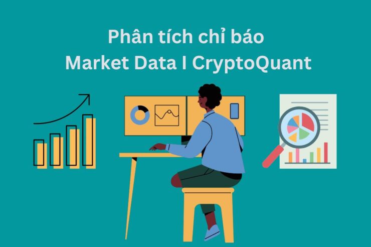 Phân tích chỉ báo Market Data I CryptoQuant