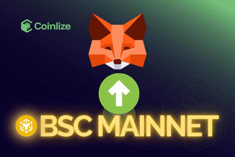 them mang BSC Mainnet va Testnet vao vi Metamask