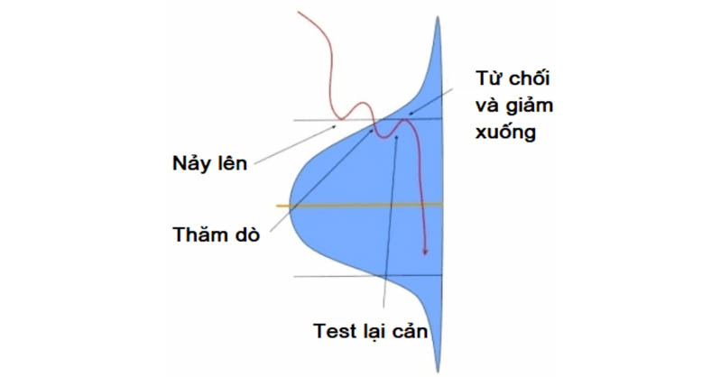 tong hop ve volume profile