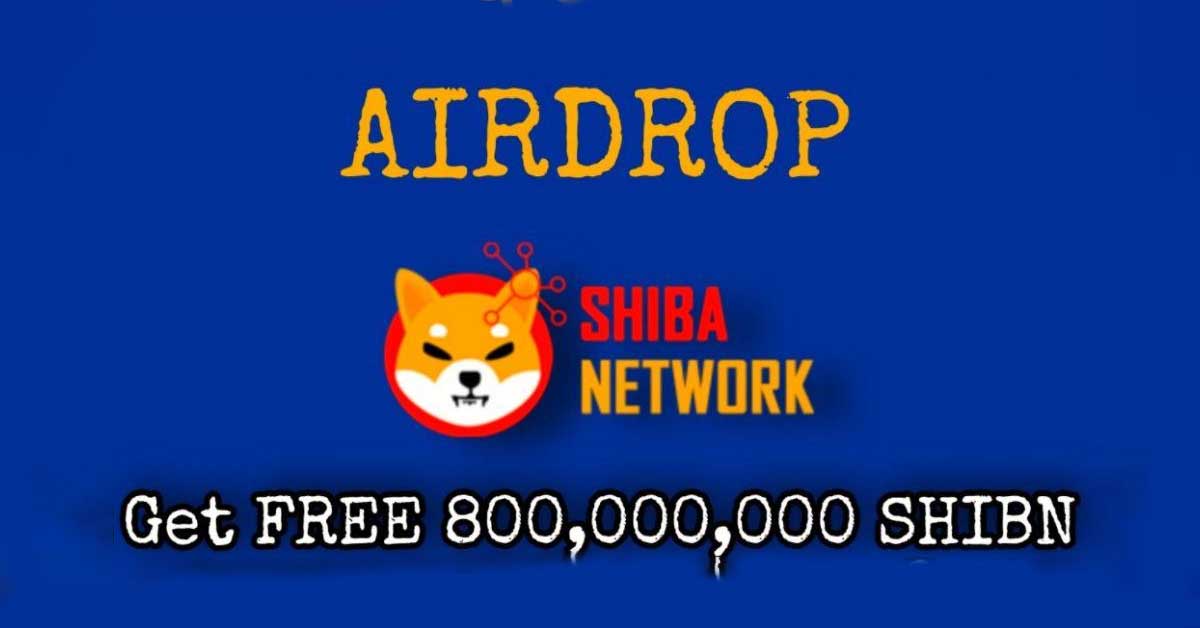 6.Shiba Network