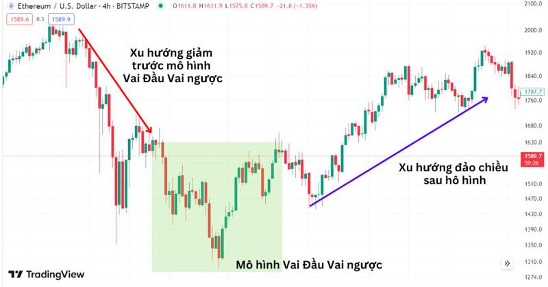 mo hinh dau vai dao nguoc