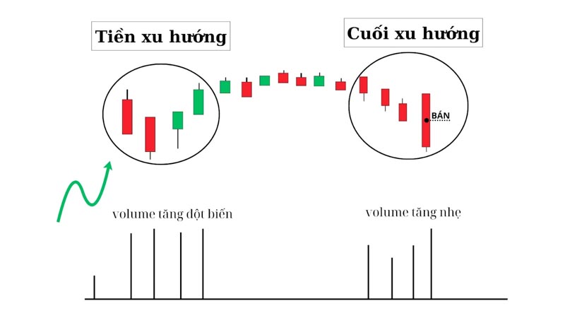 khối lượng giao dịch trong coin là gì