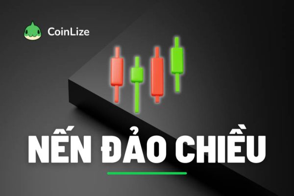 mo hinh nen dao chieu la gi