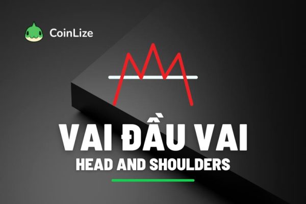 mo hinh vai dau vai